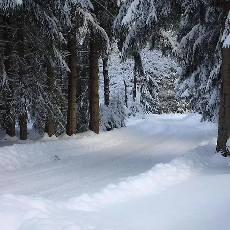 Holiday Complex Erzgebirge Idyll, Breitenbrunn 度假居 *